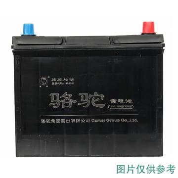 骆驼 蓄电池，6-QW-48min(300)N36 售卖规格：1个
