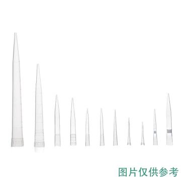 功成狮 EPT300μL吸头，袋装不灭菌，透明，1000支/袋,20袋/箱LE630105 售卖规格：1袋