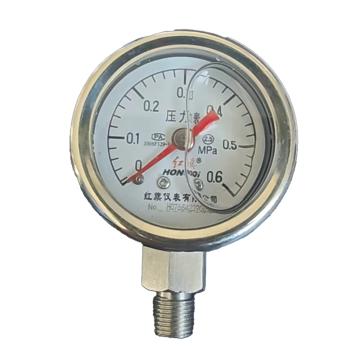 红旗 全不锈钢耐震压力表，YTN-40BF,0-0.6MPa,G1/8,d2.5% 售卖规格：1个