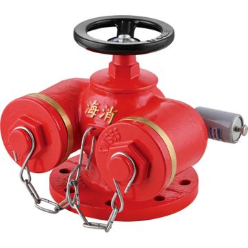 海消 多功能消防水泵接合器，SQD100-1.6 售卖规格：1个