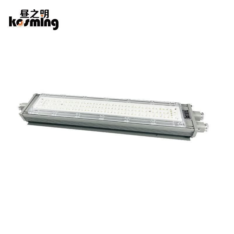 昼之明 LED防爆灯日光灯，58030673 50W 白光 IP65 售卖规格：1个